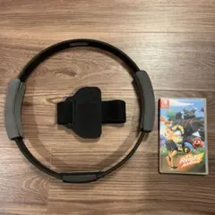 Ring Fit Adventure + リングコン、レッグバンド