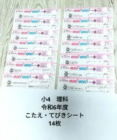 2025年最新】カラーテスト 5年理科の人気アイテム - メルカリ