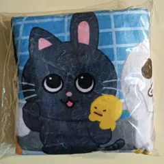 RIIZE 東京ドーム　アプグレ 特典 ブランケット　新品・未開封