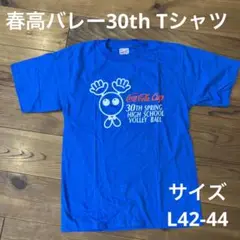 バレーボール　国体　インターハイ　春高　パーカー　2022 バレーボール 国体 インターハイ 春高 パーカー 2022 2022年春の
