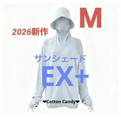 Item thumbnail for item 2d7ef4f9-062e-4159-9c89-fa88b8300fd5