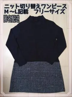 Item thumbnail for item 1b331731-63ef-4956-866f-c13ef4041017