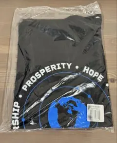 TMGE ULTRA FEED BACK GROOVE Tシャツ XL - メルカリ
