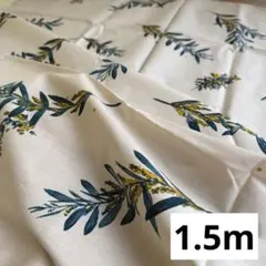 Item thumbnail for item 793e1508-e172-41a7-b2f8-751fc5a662db