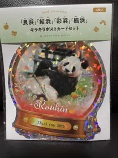 新発売　アドベンチャーワールド　パンダ　缶バッチ　良浜　結浜　楓浜 新発売 アドベンチャーワールド パンダ 缶バッチ 良浜 結浜 楓浜