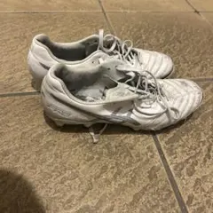 Item thumbnail for item 78c1be9b-cc48-43f5-b701-c8121b1fa100