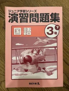 alight様 リクエスト 2点 まとめ商品