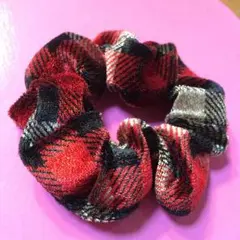 チェックシュシュ