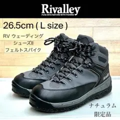 Item thumbnail for item e1f59ec3-0ad1-4531-b507-1bb6a1305cf0