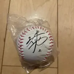中日ドラゴンズ サイン入りボール　ガチャ　レプリカ　ミニ　田中幹也のサムネイル