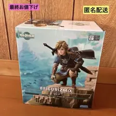 ゼルダの伝説 FIGURIZM ティアーズオブザ キングダム リンク フィギュア