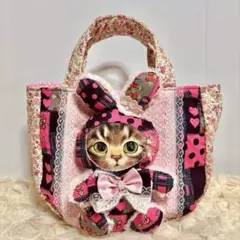 ❣️コヤンイサムチョン❣️クラウディーちゃん❣️サイドトートバック
