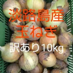 七宝早生♦︎秀品3Lサイズ10Kg ♦︎淡路島新玉ねぎ たまねぎ 玉葱