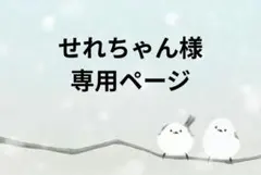 せれちゃん様　専用ページ