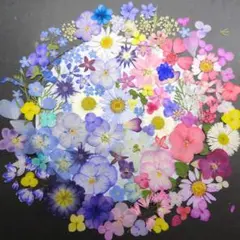 lunastar♡kp様 リクエスト 3点 まとめ商品