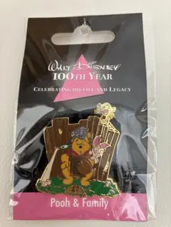 Disney 100th Year Pooh & Family Pin