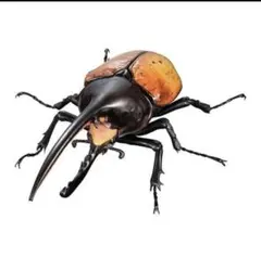 新品　ヘラクレス・エクアトリアヌス　いきもの大図鑑アドバンス　昆虫　生き物