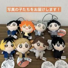 ハイキュー！！ ぬいぷりけ mini2 全4種 - メルカリ