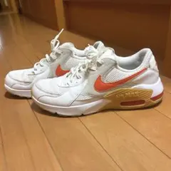 ナイキ エア マックス エクシー "ファーストユーズ"
