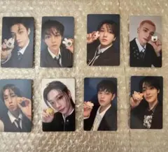 SKZOO たまごっち　トレカ　コンプセット