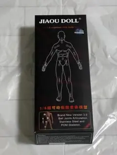 [Tbmodel] 1/6 男性 シームレス 素体 フィギュアのサムネイル