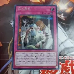 遊戯王の日　神の密告　シークレット　1枚