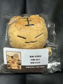 SEVENTEEN ホシ ぬいぐるみ 10cm ホランイ DOLL マスター