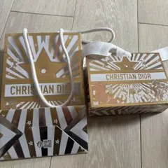 CHRISTIAN DIOR ゴールドショップ袋 2点セット Dior ギフト袋