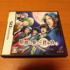 暗闇の果てで君を待つ DS