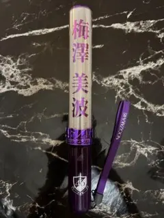 Item thumbnail for item 0b67cbf6-a147-4310-833f-885381a9bea7