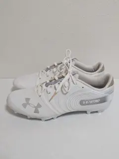 Item thumbnail for item 12dd9a19-329f-41f3-b8cc-a2e63b74948d