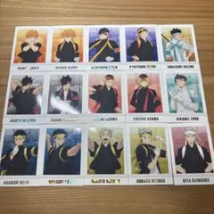 ハイキュー　応援団　ぱしゃこれ