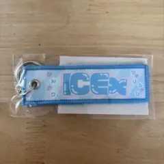 【匿名、24時間以内発送】EBiDAN museum ICEx　フライトタグ