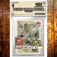 炎星 サプライセット 遊戯王 中国限定 Amazon.co.jp: 遊 戯 王 中国限定 炎星サプライセット : おもちゃ