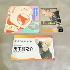 ファンパーク 田中龍之介