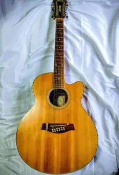 2025年最新】IBANEZ AELの人気アイテム - メルカリ