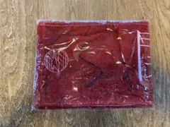 櫻坂46 関有美子 BAN 推しメンマフラータオル