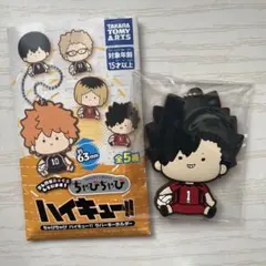 ハイキュー!! 黒尾鉄朗 ちゃびちゃび