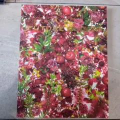 nicolai Bergman FUTURE BLOOM