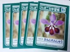【新品】漢字練習帳　ノート　100字　ジャポニカ 5冊 かんじれんしゅうのサムネイル