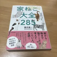 Item thumbnail for item ea33f65e-23d9-421b-9c3a-de97dfced22b