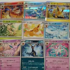 イーブイ　ブイズ　まとめ売り