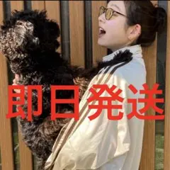 在原みゆき　着用　adidas 90s トラックジャケット