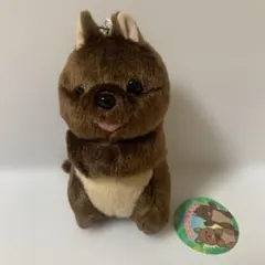 レア 吉冨製薬 リス ぬいぐるみ リサちゃん レトロ 昭和レトロ