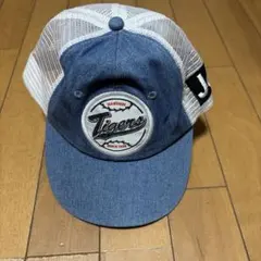 Item thumbnail for item 643248a0-a943-4269-9e94-cfd48eee2f32