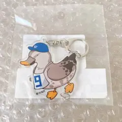 日ハム　カルガモ隊　中島卓也