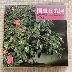 2026年最新】国風盆栽展の人気アイテム - メルカリ