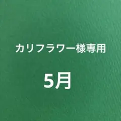 2026年最新】カリフラワージェイドの人気アイテム - メルカリ
