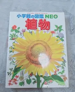 小学校の図鑑 NEO 3冊セット(植物、大むかしの生物、地球)