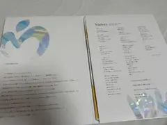 Mrs. GREEN APPLEパンフレット ※THE ORIGIN7ページなし